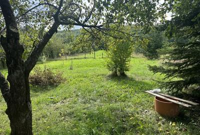 Casa de vacanta- Ozun, 30 km de Brasov - 2