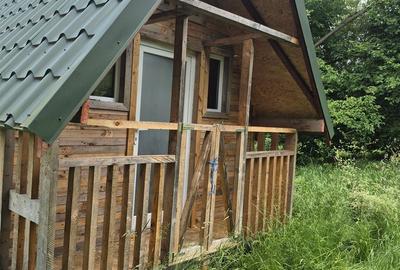 Casă cu Teren 5600 Mp în Lisnău - 9