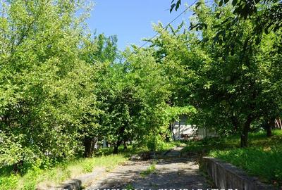 ANL- MORILOR, TEREN 635 MP - 28