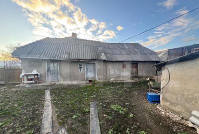 Casa, Comuna Apa ,Sat Someseni, 50mp, 17 ari teren - 12