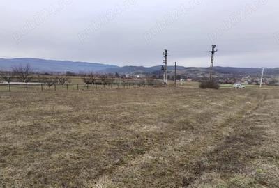 Teren de 3000 mp, în Vața de Jos - 3