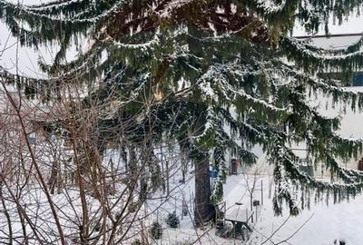 Apartament la vila - 2 camere - în zona Vasile Aaron - 12