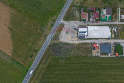 Loturi de casa intrare Sacele 440 mp, un lot cu AC Loturi de casa intrare Sacele 440 mp, un lot cu AC - 1