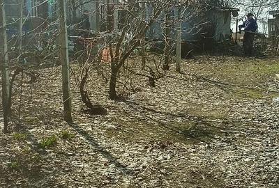 Casă cu 6 camere cu Teren 1600 Mp în Fântânele - 4