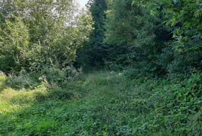 OPORTUNITATE: 4.400 mp la marginea PADURII, langa VILE NOI, toate UTILITATILE - 7