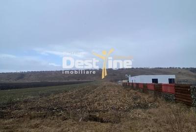 Teren Construcții intravilan de 3200 mp, în Girov - 3