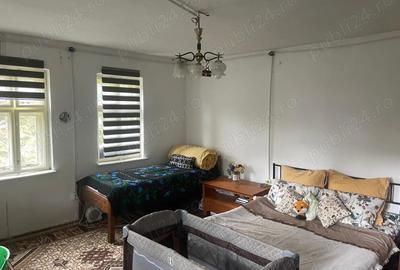 Casă cu 2 camere cu Teren 4000 Mp în Poiana Aiudului - 9