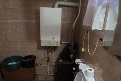 Casă individuală cu 1 camere cu Canalizare în Careiului - 11