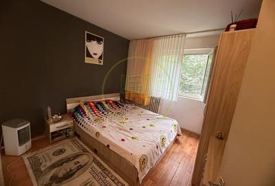 Apartament cu 2 camere semidecomandat, mobilat în Craiovița Nouă - 3