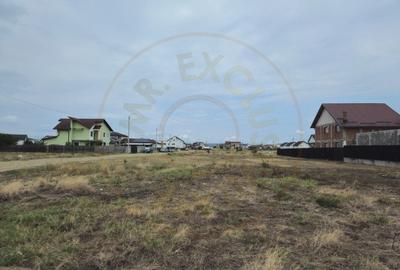 Teren Construcții intravilan de 10000 mp, în Craiovei - 5