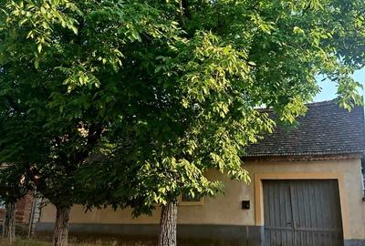 Casă individuală cu 3 camere cu Teren 600 Mp în Ciuchici - 1