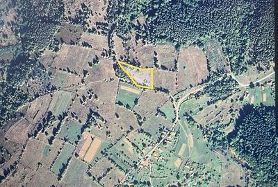 Teren de 5003 mp, în Poiana