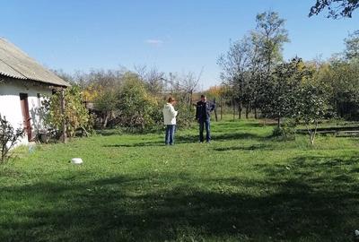 Casă cu Teren 2436 Mp în Cotu Ciorii