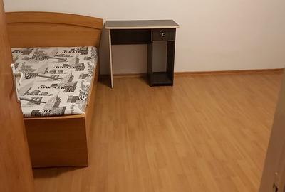 Garsonieră decomandată în Ozana - 10