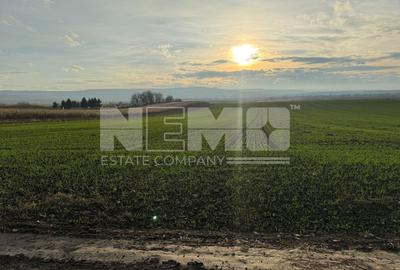 Teren agricol extravilan de 12400000 mp, în Grănicești - 4
