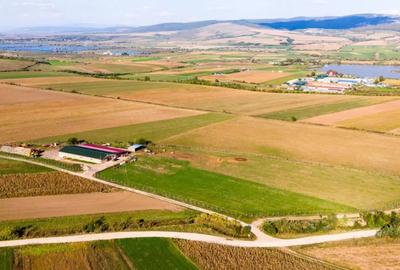 Teren de 18000 mp, în Rotbav - 4