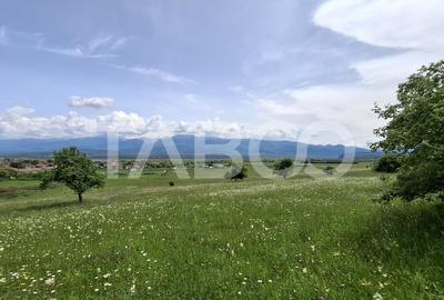 COMISION 0% Teren intravilan de vanzare 4460 mp Bradu Sibiu - 5