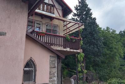 Casă cu 5 camere cu Teren 4200 Mp în Băile Herculane - 9