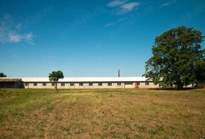 Spațiu comercial, de 100,000 mp, în Centura - 7