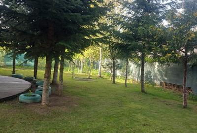 Vila de vanzare in Snagov in vecinatatea padurii - 6