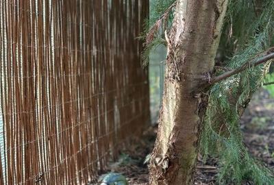 Duplex Confort ?i intimitate Dumbravi?a in fa?a - 4