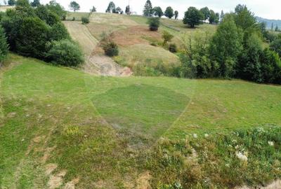 Teren 4397 mp Intravilan  Manastirea Humorului / Lunga Bucovina - 16