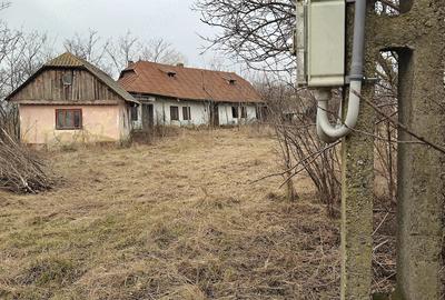 Teren de 3160 mp, în Cotnari - 4