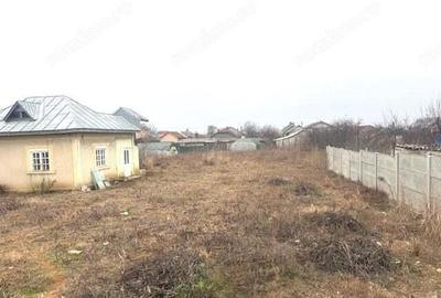 Casă cu 1 camere cu Teren 1142 Mp în Curtișoara - 9