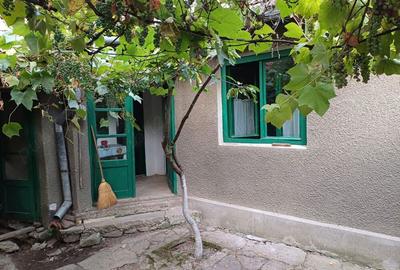 Vand casa Vand casa - 8