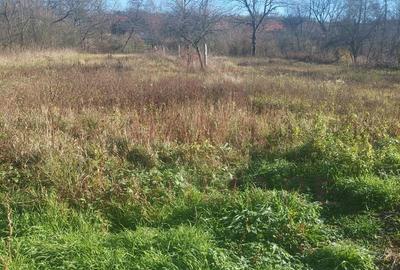 CASĂ PĂLTINIȘ\JUD. CARAȘ-SEVERIN\ COMISION 0% - 24