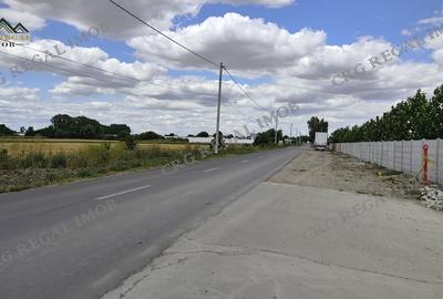 Teren de Vanzare in Dobreni Comuna Berceni posibilitate Rate 0% Dobanda - 2