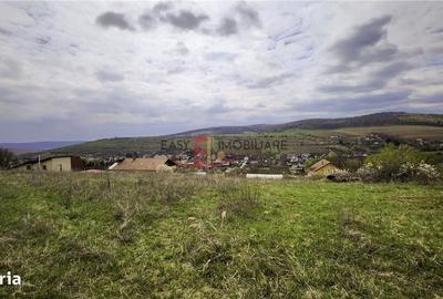 Spațiu comercial, în Bărdești