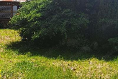 Inchiriez apartament in vila curte Rm Valcea Centru vis-a-vis de parcul Zavoi. - 1