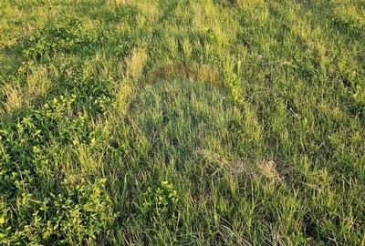 Teren Construcții intravilan de 1495 mp, în Dobreni - 32