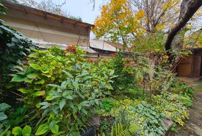 Casa parter 45mp utili si curte proprie langa Parcul Regina Maria! - 7