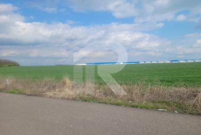 Teren 33.637 mp cu deschidere 88 m la Centura, zona mixta – Popesti-Leordeni - 3