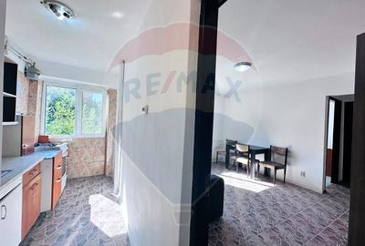 Apartament Renovat, Luminos - sector 4 - 4