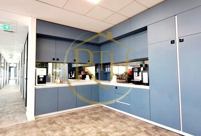 Birou, de 20 mp, în Torontalului - 6