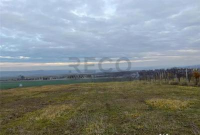 Teren de 720 mp, în Paleu - 1