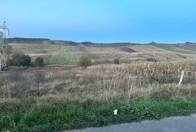 Teren de vanzare 2250mp front 22ml Baciu Salistea Veche - 2