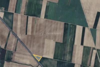 Teren de 3000 mp, în Sălard - 2