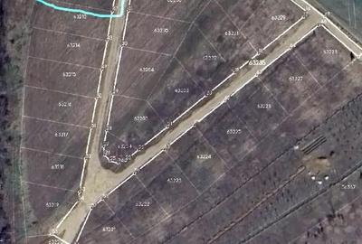Teren de 719 mp, în Paleu - 4