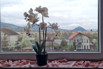 Spațiu comercial, de 115 mp, în Central - 6