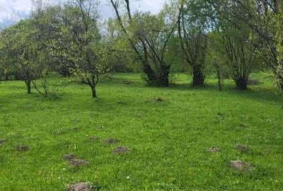Teren de 3474 mp, în Central - 6