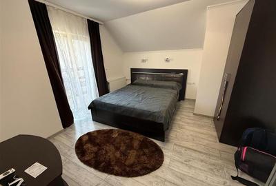 Casa individuala 5 camere 2 bai zona Terezian - 17