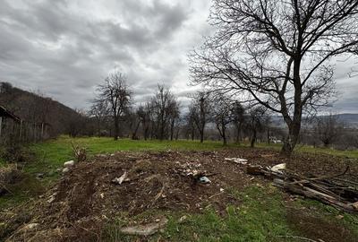 Casă cu 2 camere în Dobrotu - 8