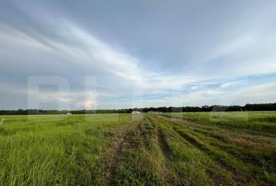 Teren par?ial intravilan 23.500 mp, apa, curent ?i suprav - 1