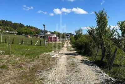 Teren Construcții intravilan de 600 mp, în Sadu - 6