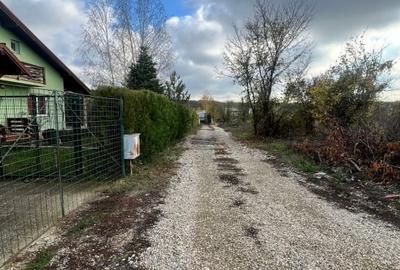 Teren 1000 mp intravilan Ciolpani-Piscu - 8