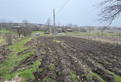 Teren de 2038 mp, în Ghercești - 19